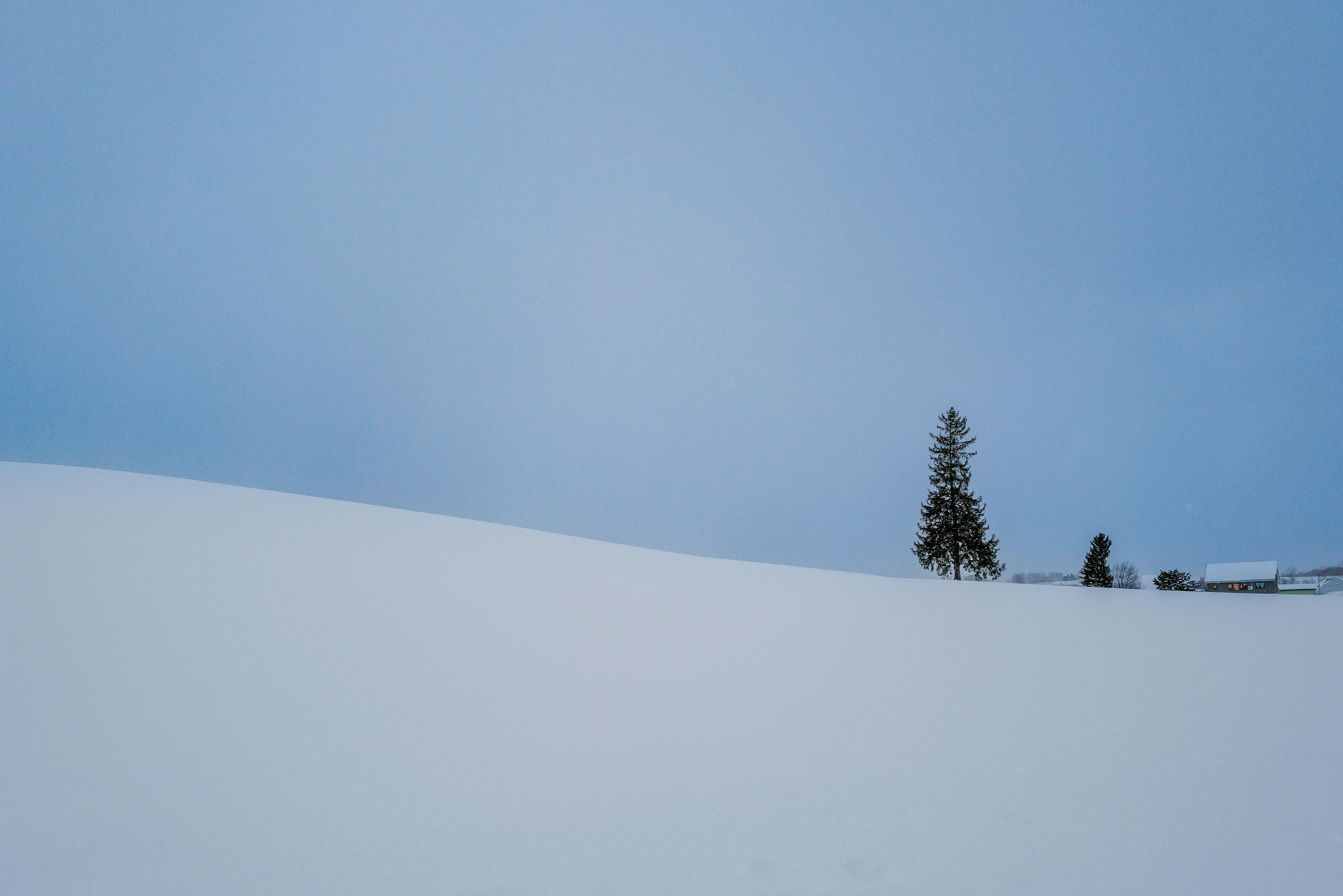 オススメ漫画100円均一！『スナックバス江』と『パープル式部』が全部買っても2,000円ポッキリ／Kindleストアでフォビドゥン澁川作品のセールが開催中。3月8日までのイメージ
