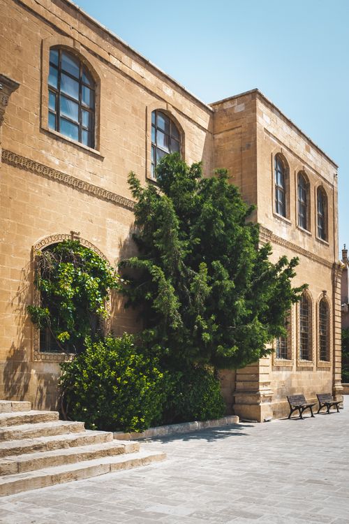 Free Sunlit historic stone building with lush ivy and classic windows. Stock Photo