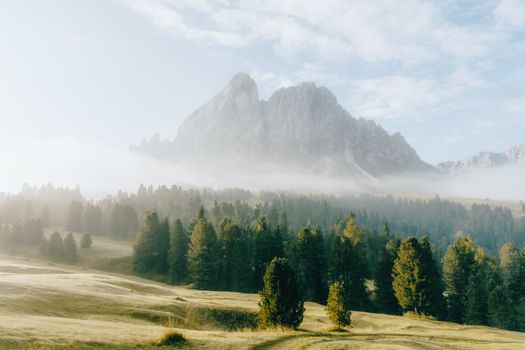 Beautiful misty mountain landscape with trees in soft morning light, perfect for travel and nature themes.