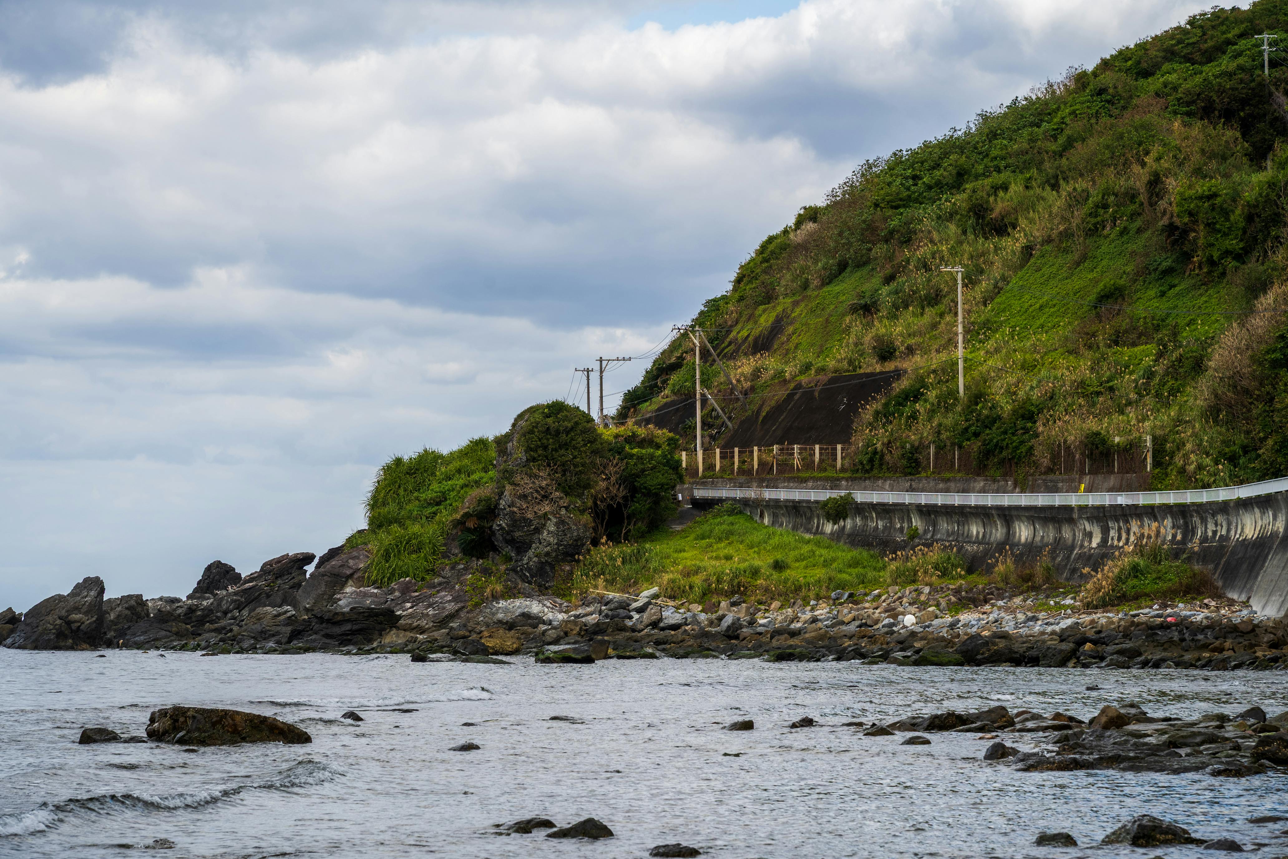 Pokémon Pokopia: Best Cloud Islands &amp; Developer Island Codes — Photo by Guohua Song on Pexels