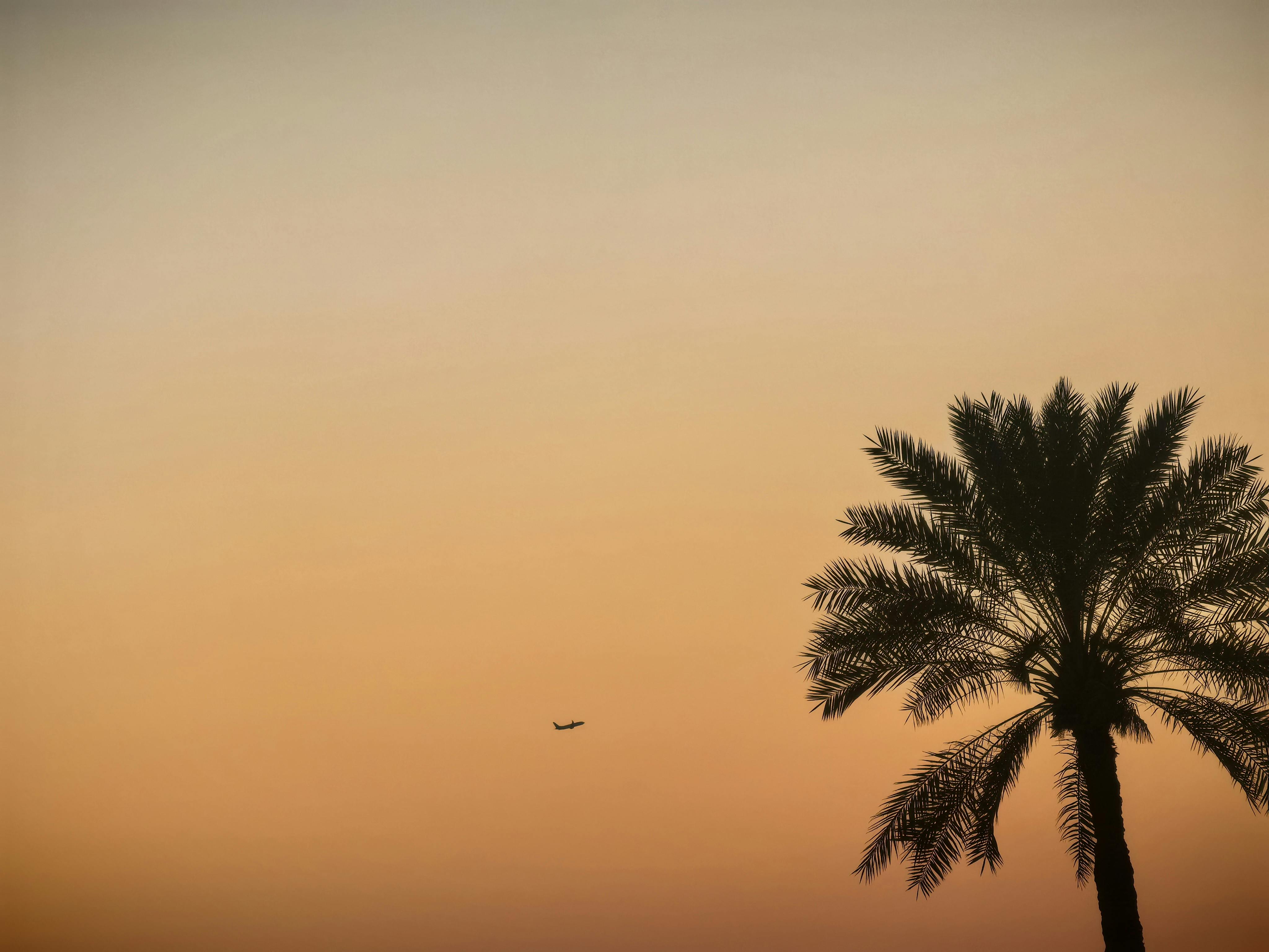 Middle East Conflict Triggers Aviation Crisis and Billion-Dollar Tourism Loss