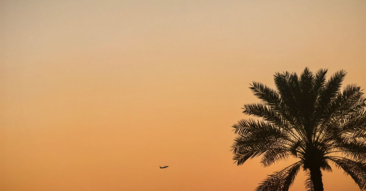 Middle East Conflict Triggers Aviation Crisis and Billion-Dollar Tourism Loss
