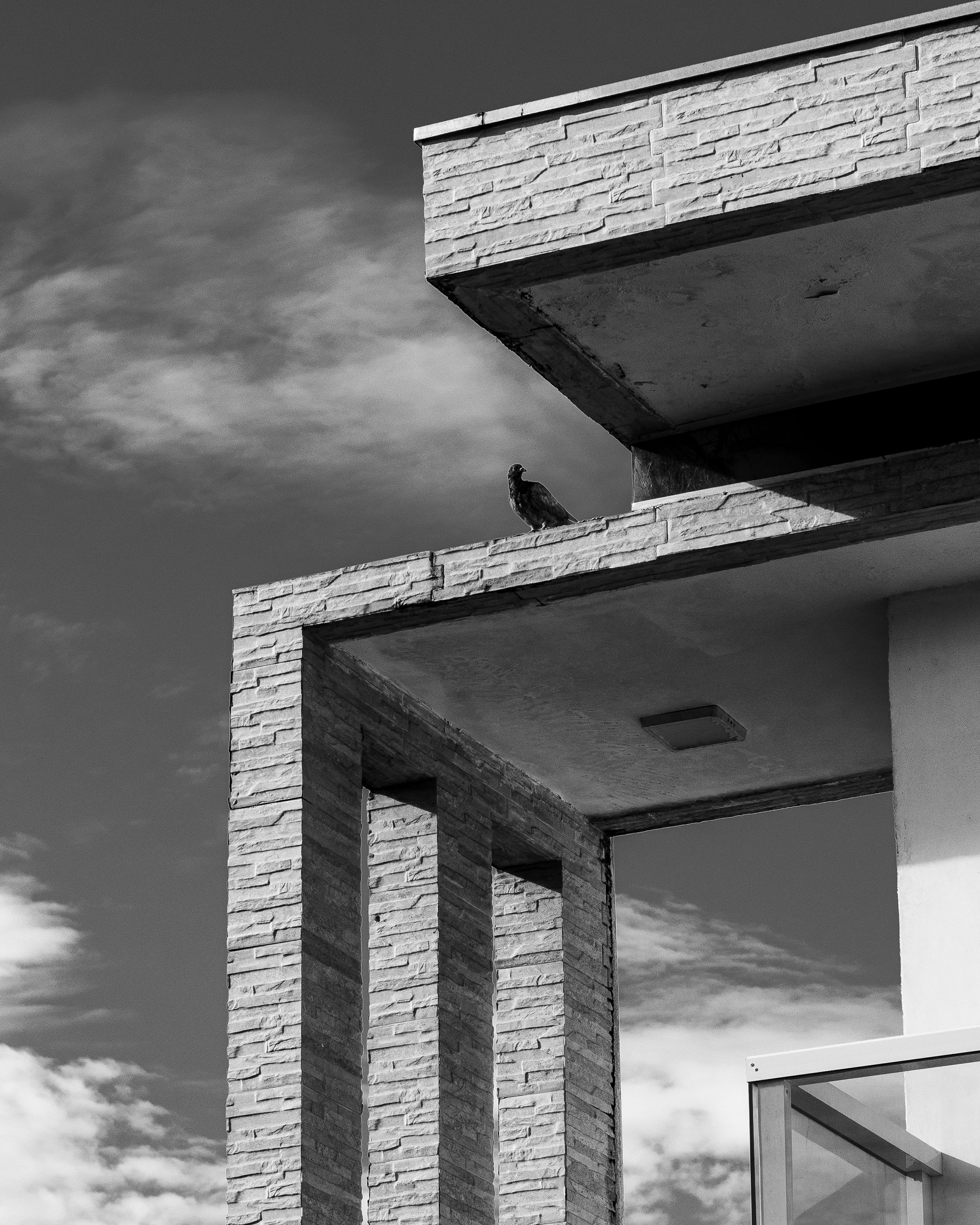 Modern Architectural Structure with Bird in Black and White · Free ...