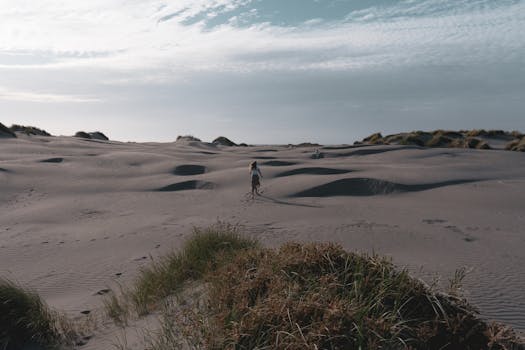 A person walks through the sandy dunes of Foxton Beach under a bright sky, capturing serene solitude.
