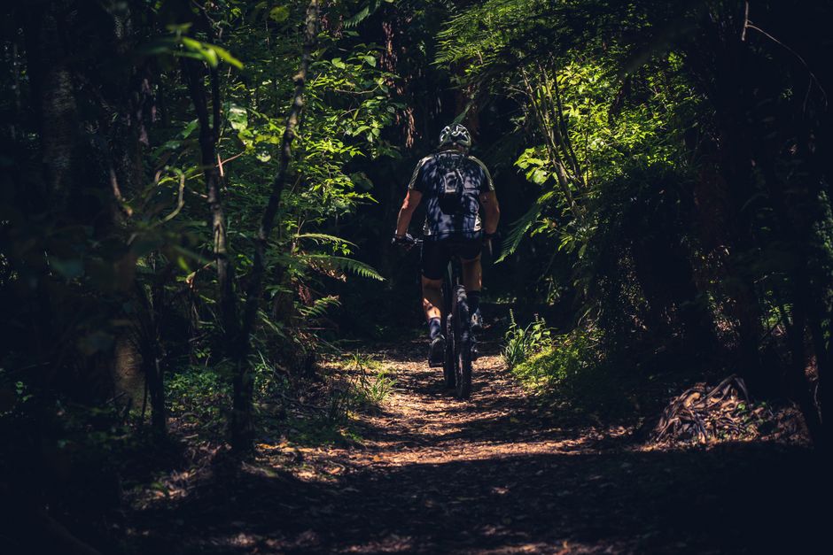 1. Beginner-Friendly New Zealand Cycling Trails: Easy Breezy Rides 1. Beginner-Friendly New Zealand Cycling Trails: Easy Breezy Rides
