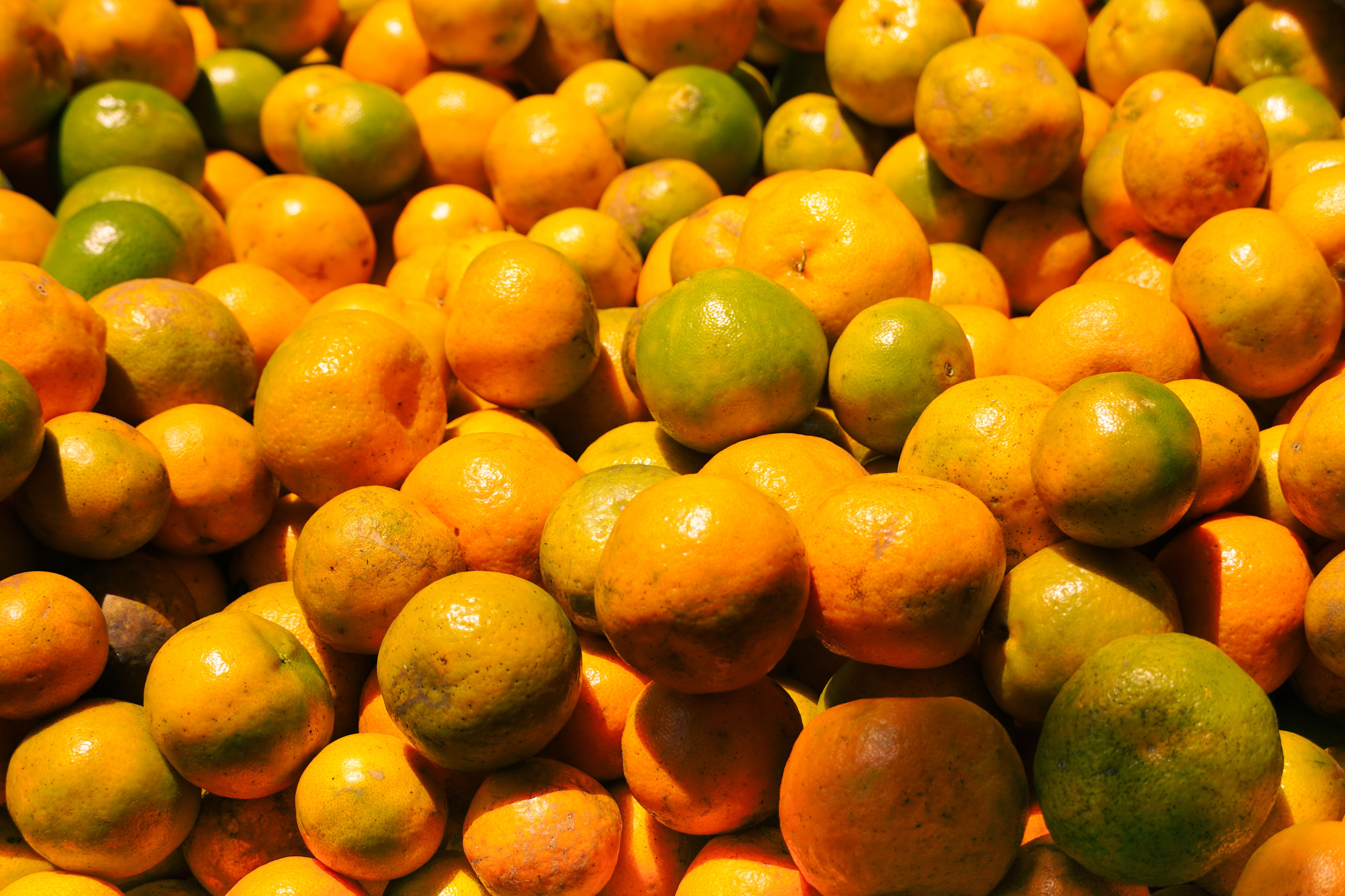 Fruit; citrus, prepared or preserved in ways n.e.c. in heading no. 2007, whether or not containing added sugar, other sweetening matter or spirit