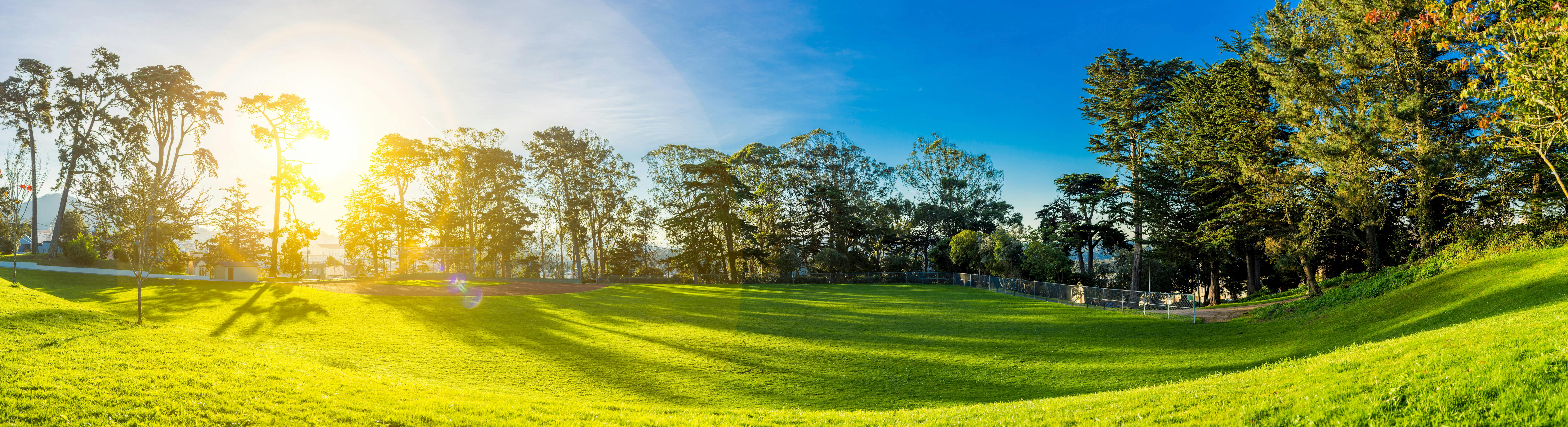 Free stock photo of landscape, nature, sunny, field