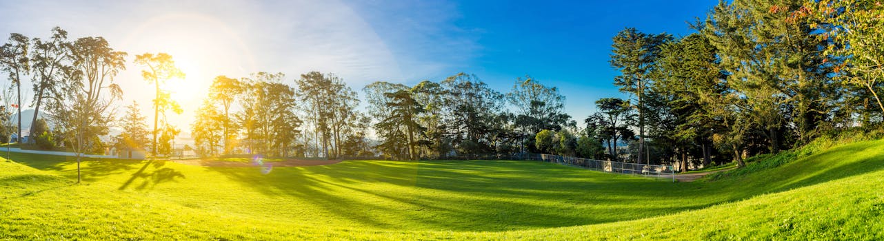 Free stock photo of landscape, nature, sunny, field