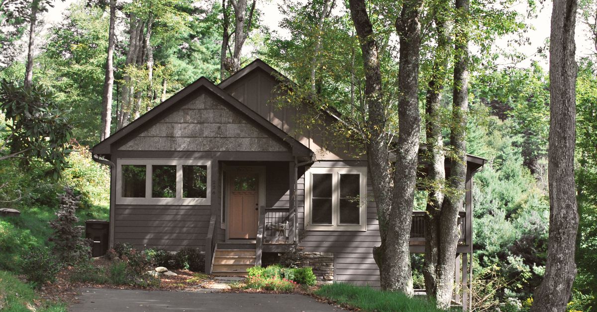 A cozy brown cottage nestled amongst lush trees, capturing the tranquil essence of North Carolina's forests.