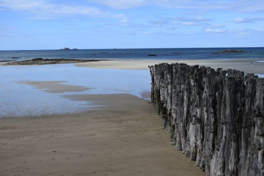 Photos gratuites de ancien, beauté naturelle, bois