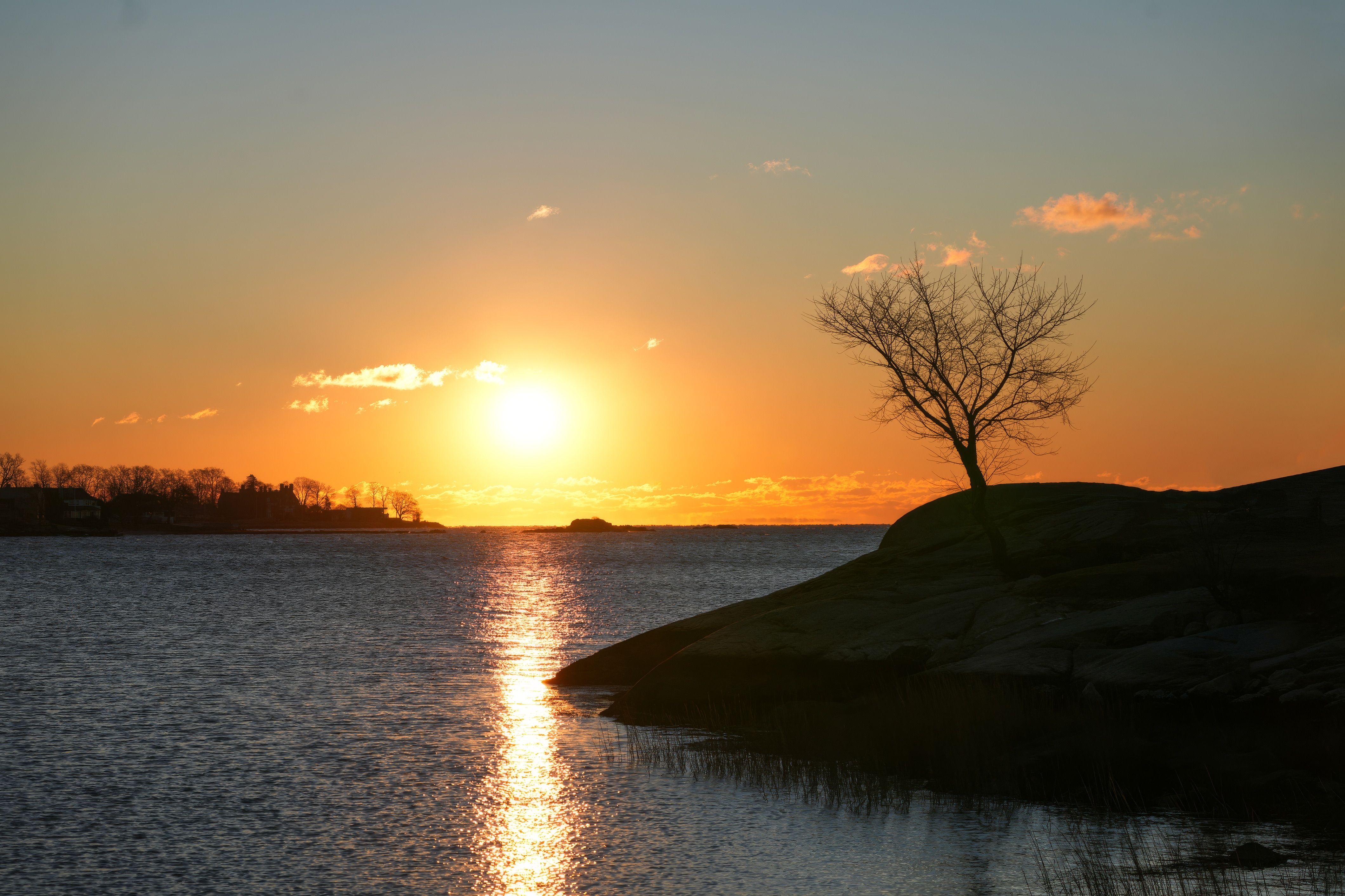 Serene Sunset Over Calm Lake with Tree Silhouette · Free Stock Photo