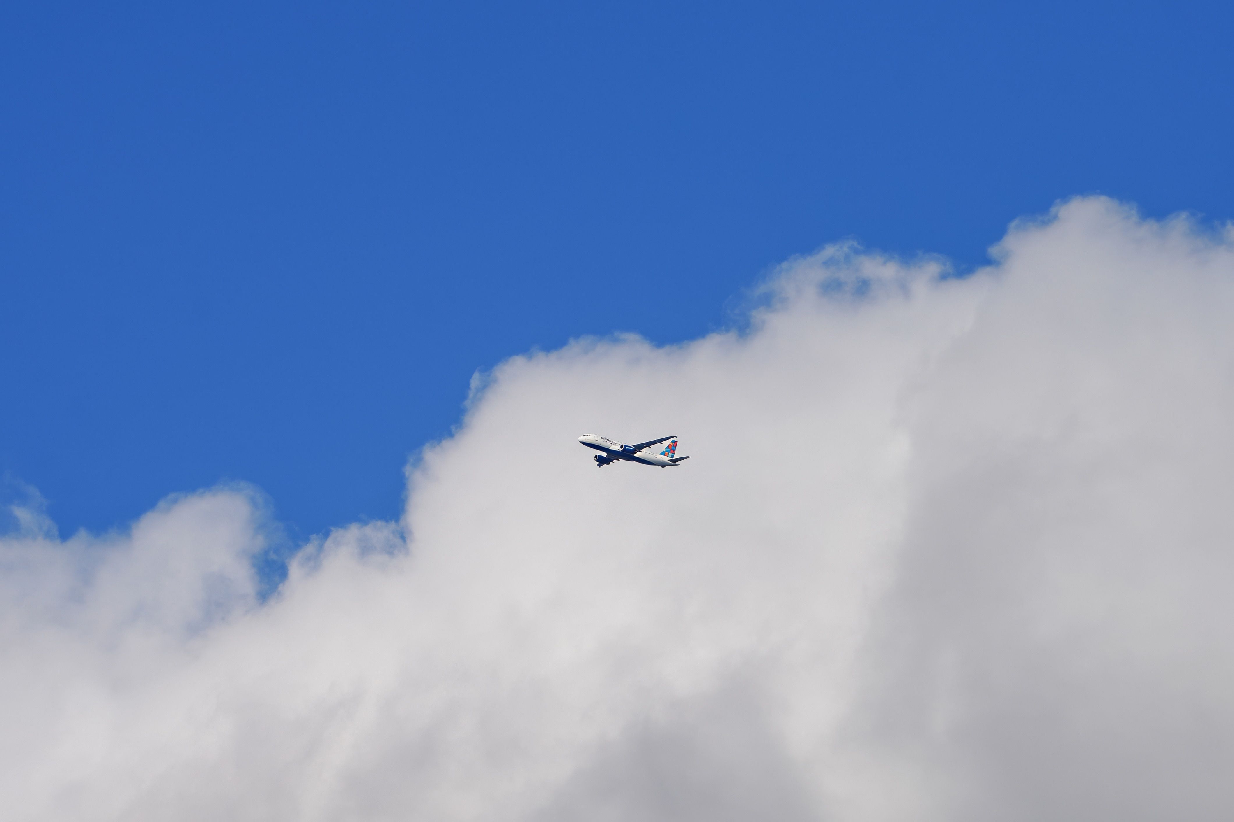 I fly 100,000 miles a year. These are my picks for best airline credit cards — Photo by Cara Denison on Pexels