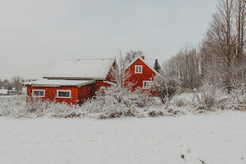 Red Wooden house Near Bare trees