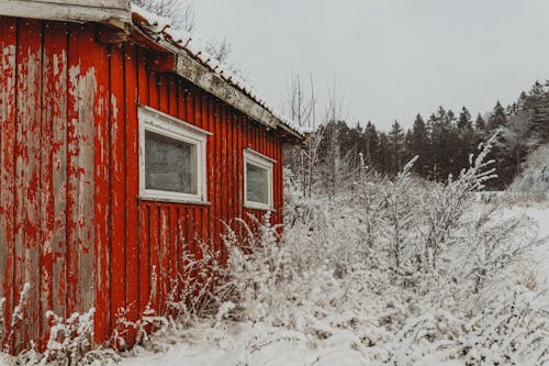 Základová fotografie zdarma na téma bílá obloha, dřevěný dům, mrazivé počasí