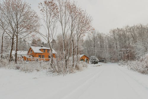 House by Snowy Road in Village