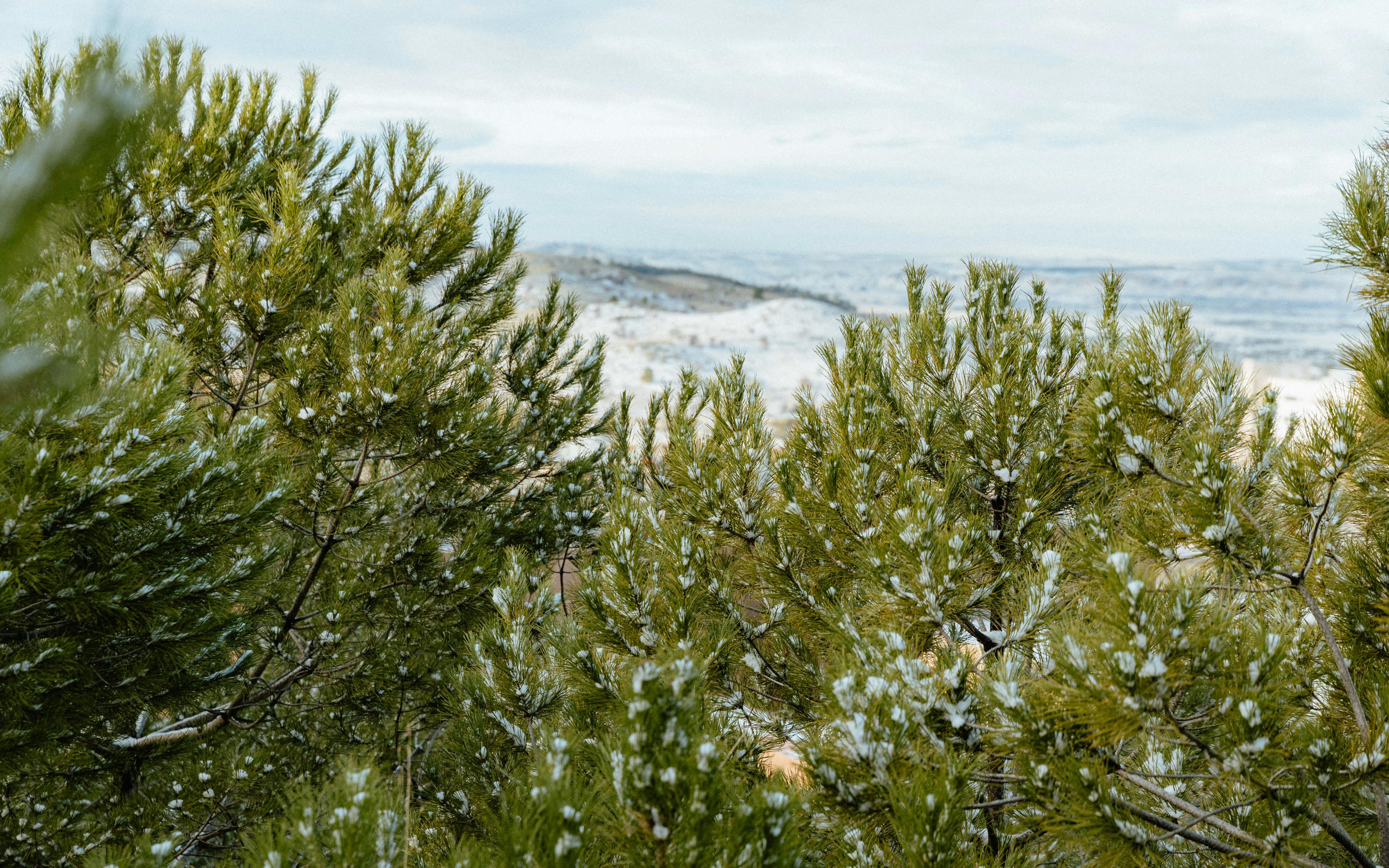 휠 분진 고착된 차 세차 습관 2