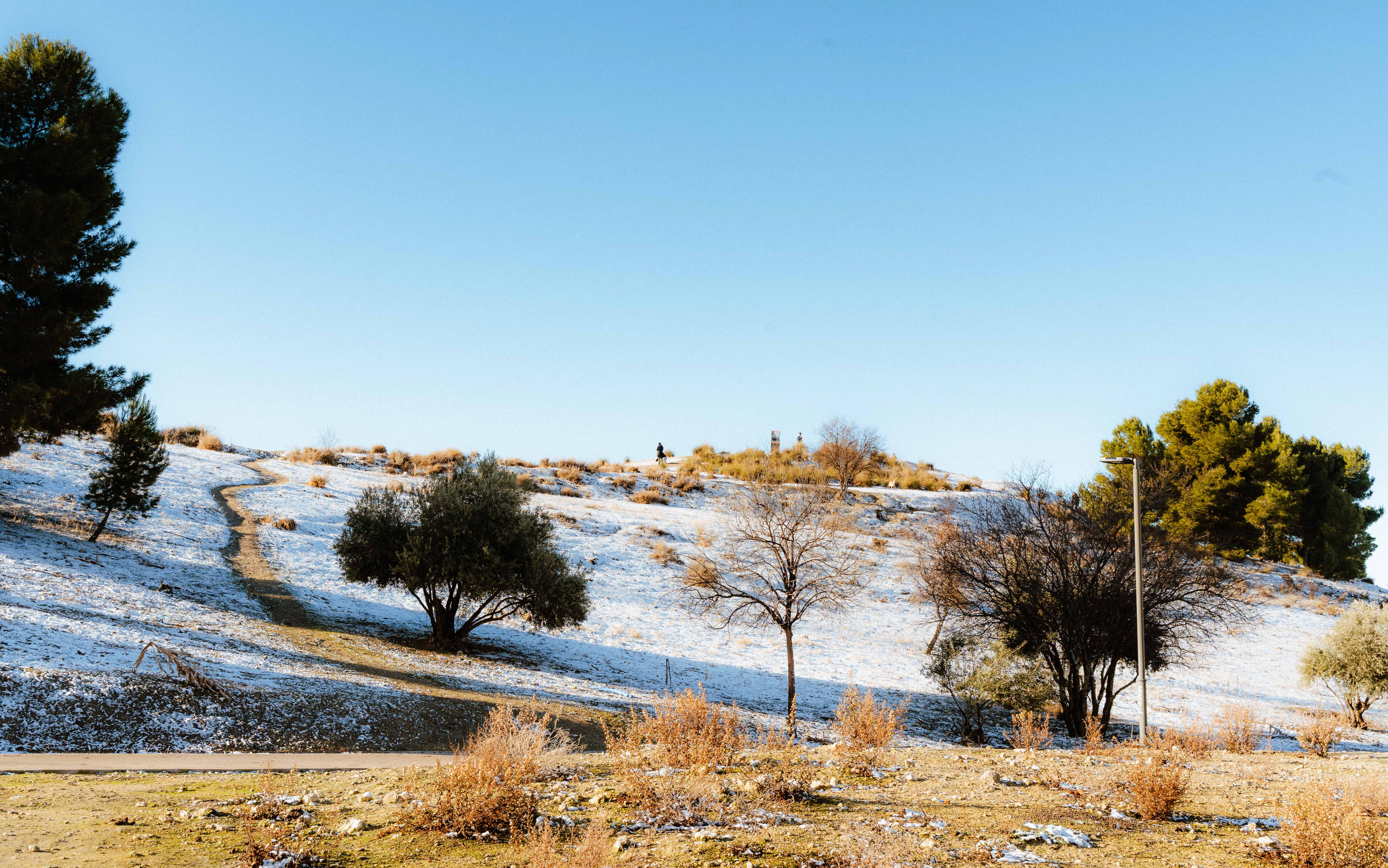 Scenic winter landscape with sparse trees and light snow cover in Spain.