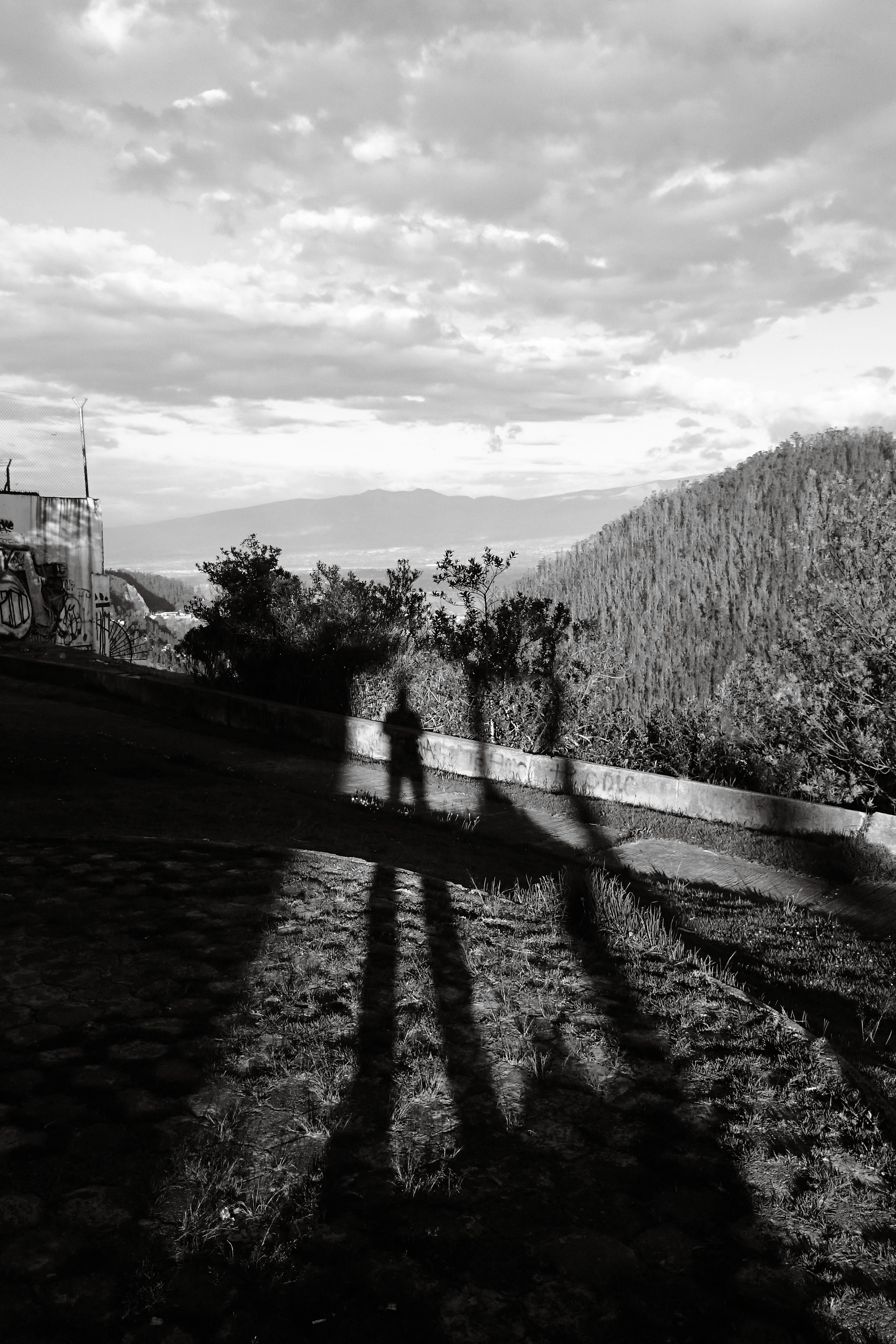 Fotomural Fotolia