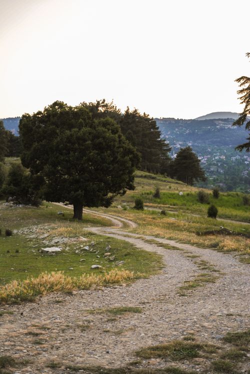 Free A winding dirt path through a serene countryside landscape with a prominent tree and distant hills. Stock Photo