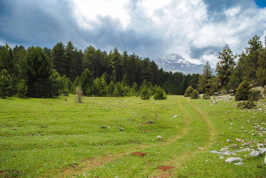 Scenic Mountain Landscape with Lush Greenery · Free Stock Photo