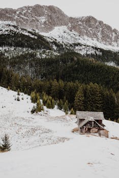 罗马尼亚乡村小屋的冬季景色秀丽，四周环绕着白雪皑皑的高山