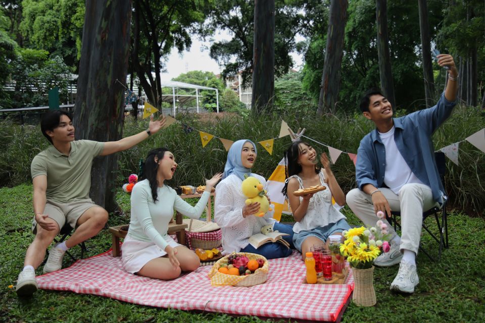 My Dream Picnic in the Park!