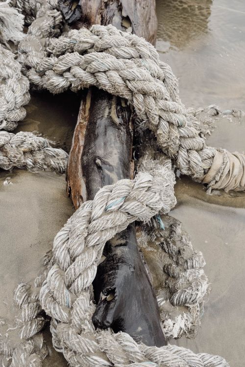 Free Close-up of weathered rope intertwined with driftwood on a sandy beach, creating a natural textured look. Stock Photo