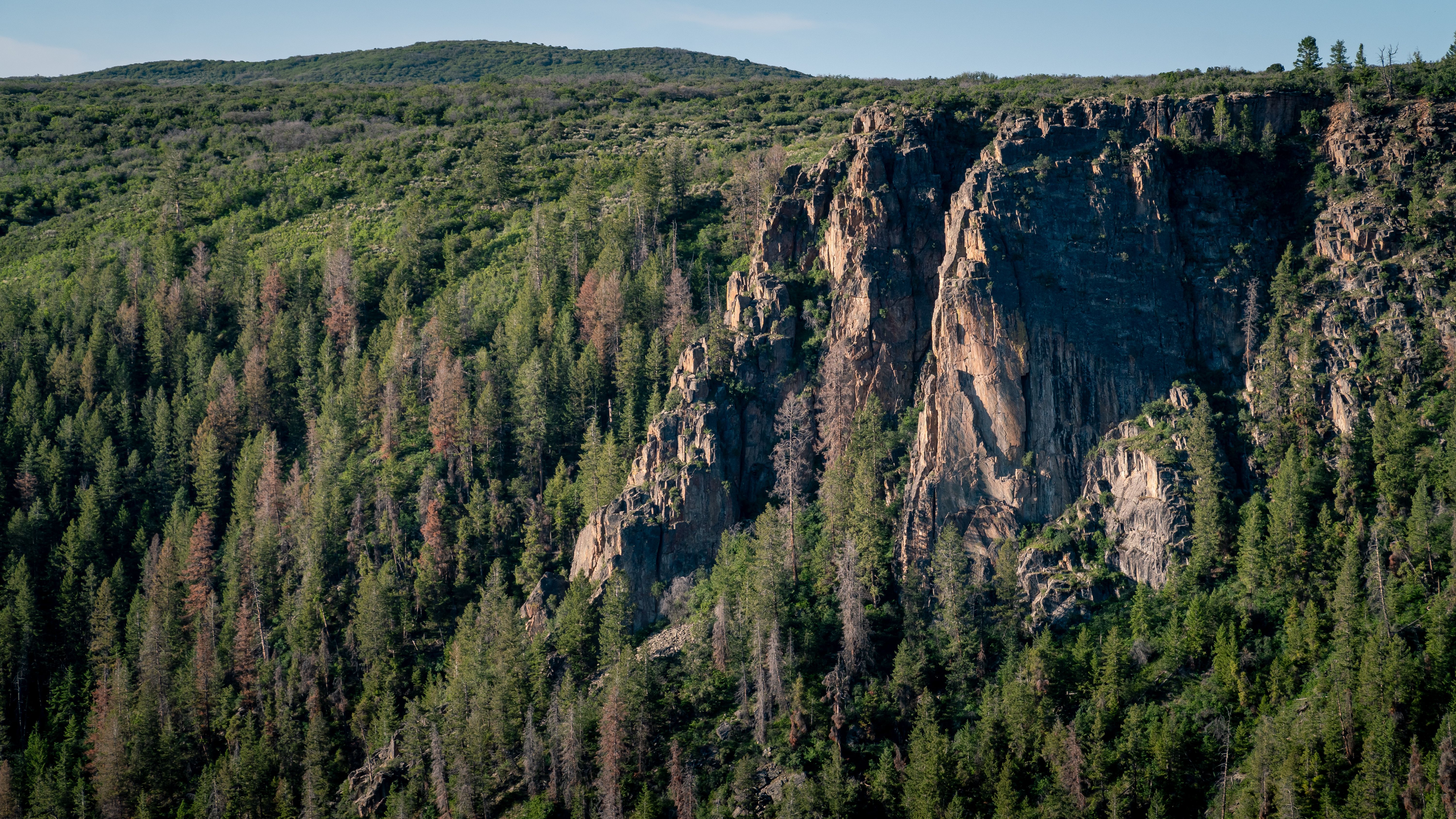 Majestic View of Rugged Colorado Cliffs · Free Stock Photo