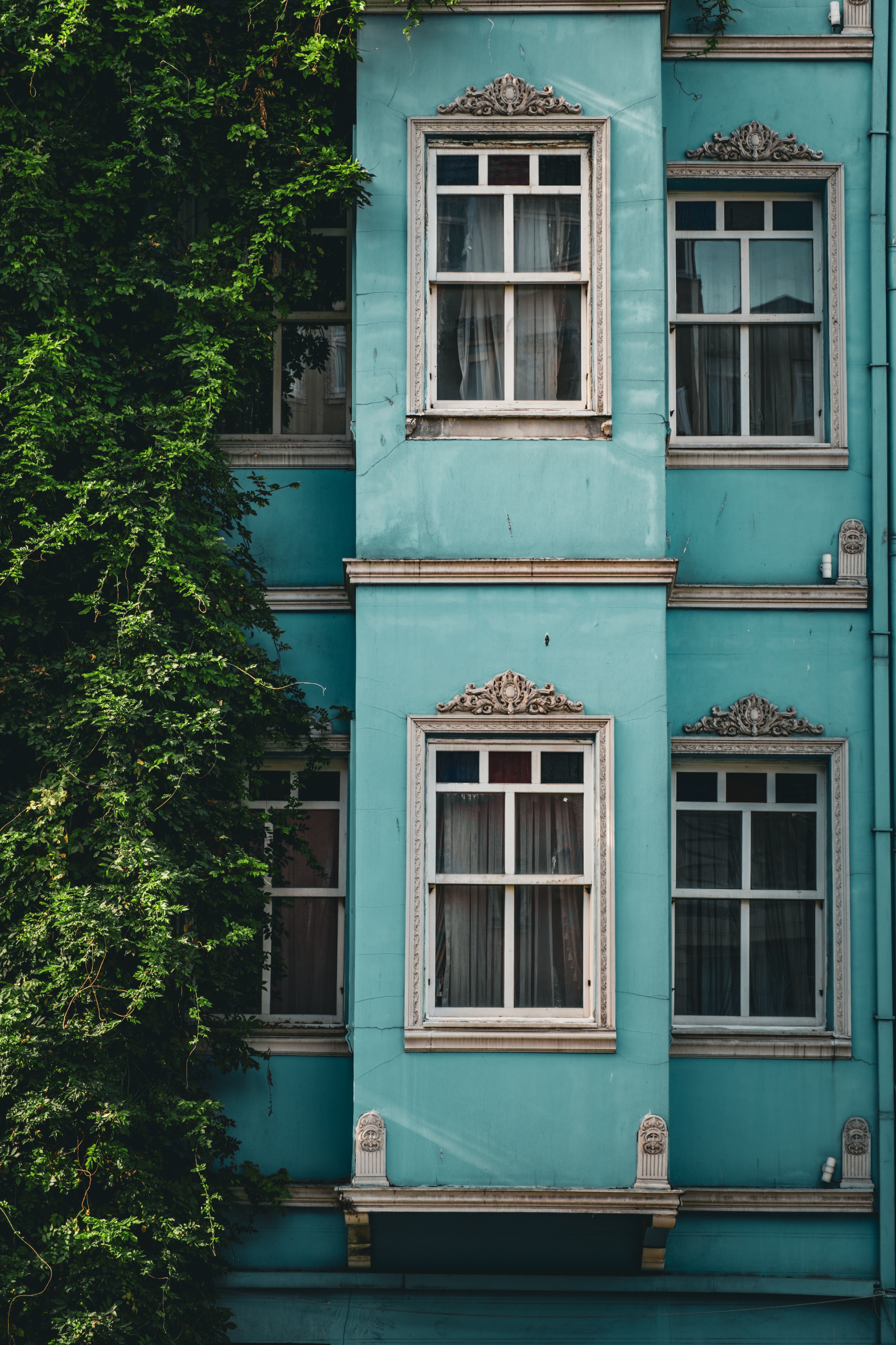 Classic Blue Building Facade with Windows and Ivy · Free Stock Photo