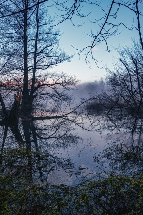 Free A tranquil winter scene with trees reflected in a misty pond at sunset. Stock Photo