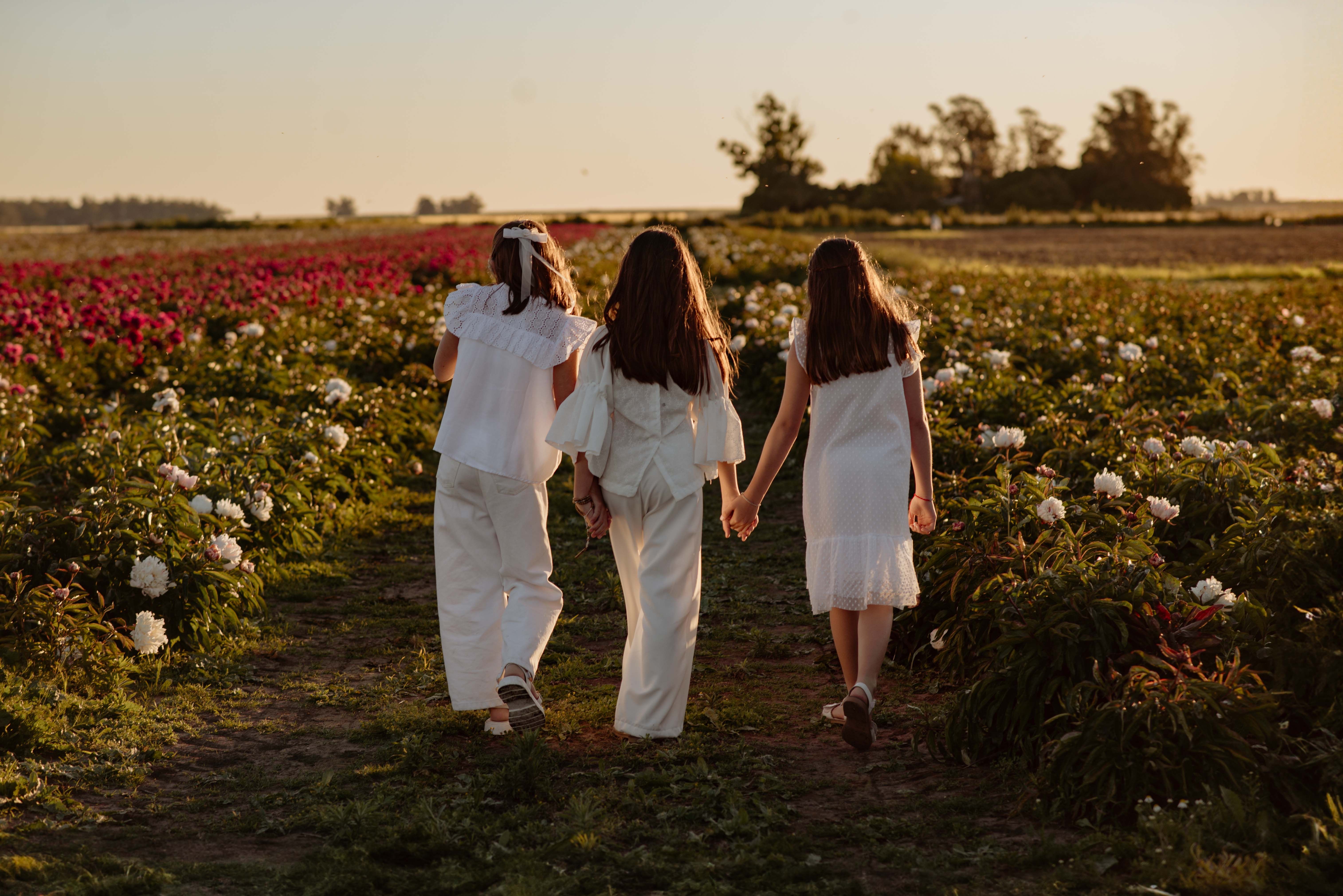 Girls Walking in Flower Field at Sunset · Free Stock Photo