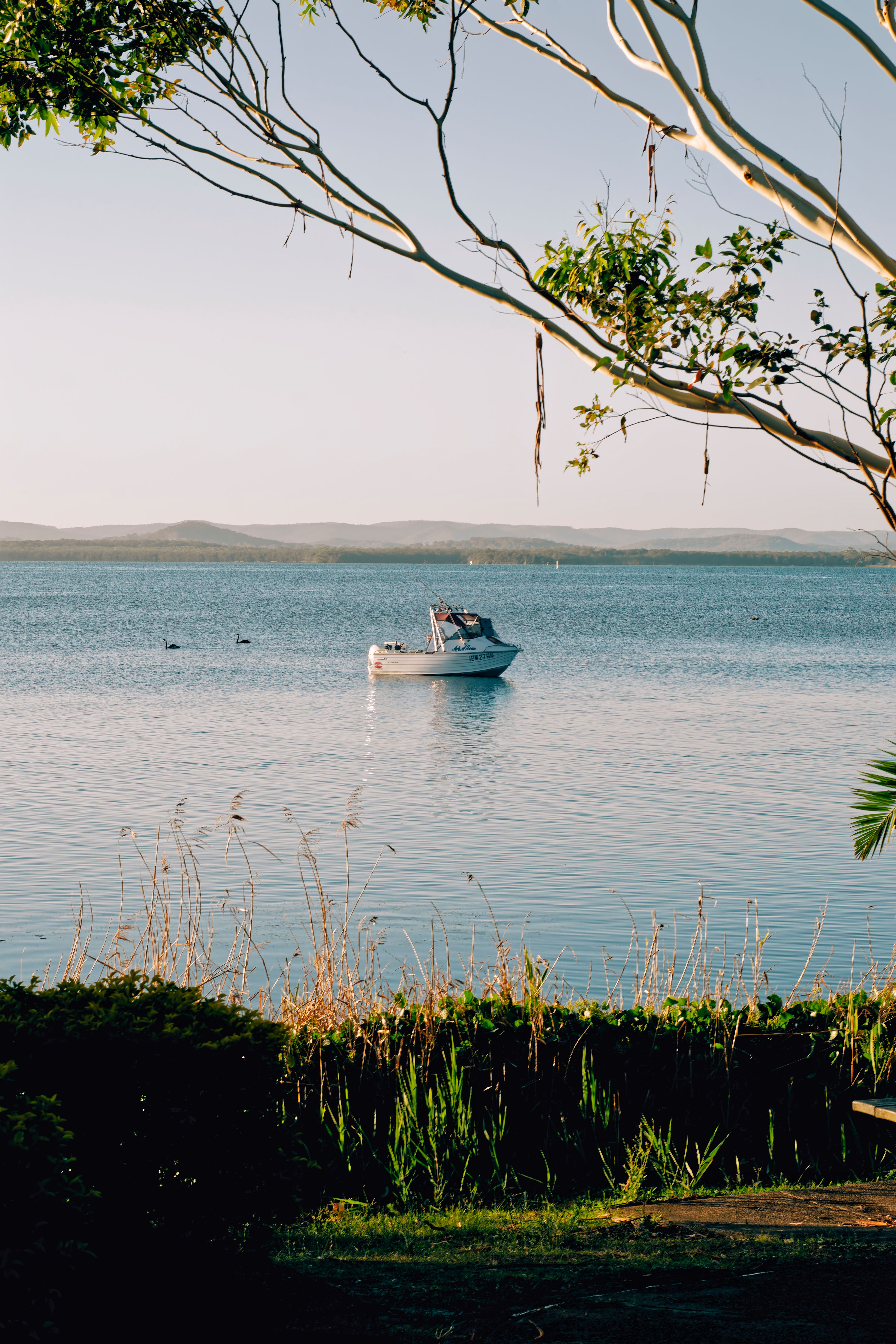 Tranquil Lake Scene with Boat at Dusk · Free Stock Photo