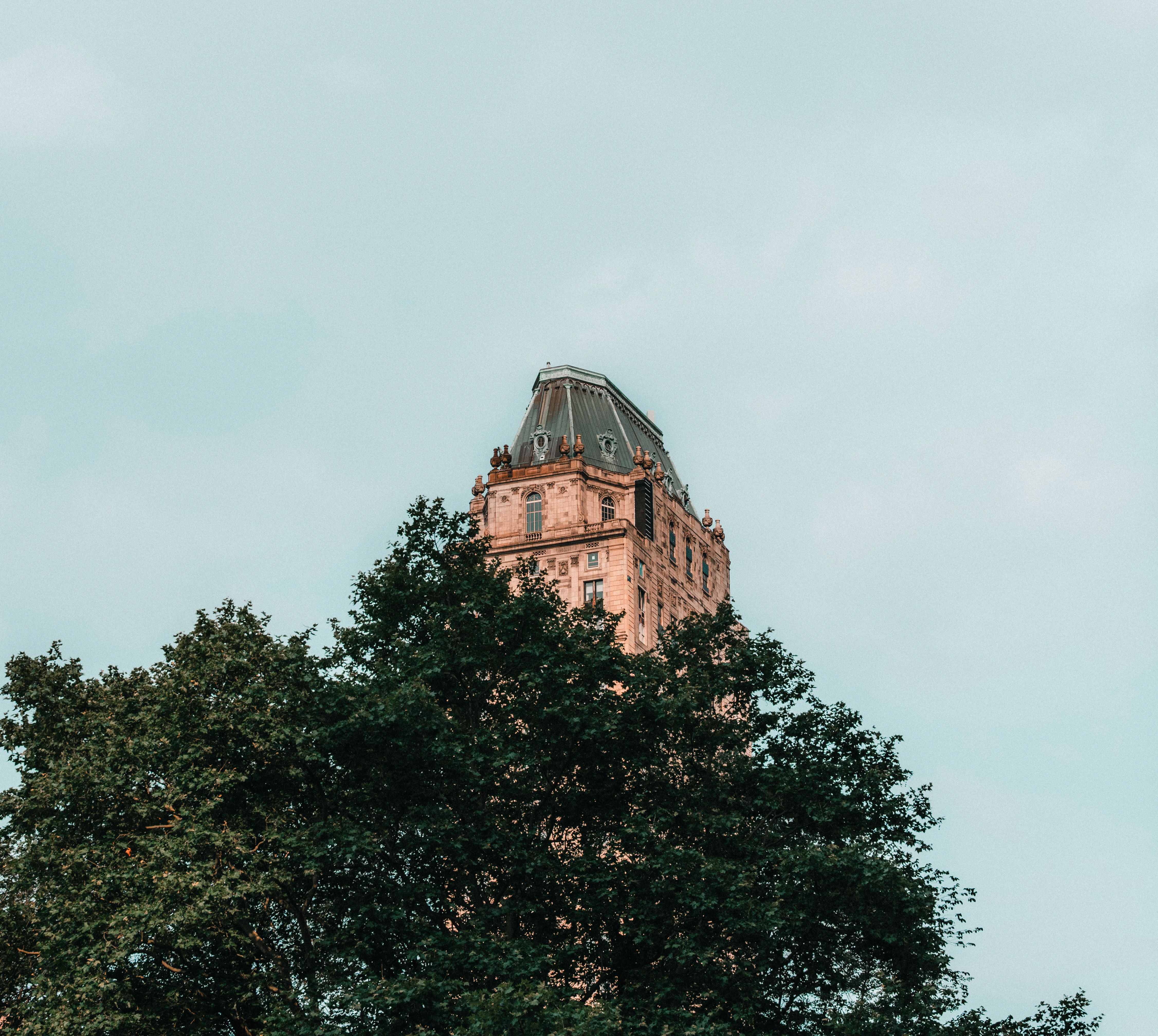 Historic New York City Building Behind Trees · Free Stock Photo
