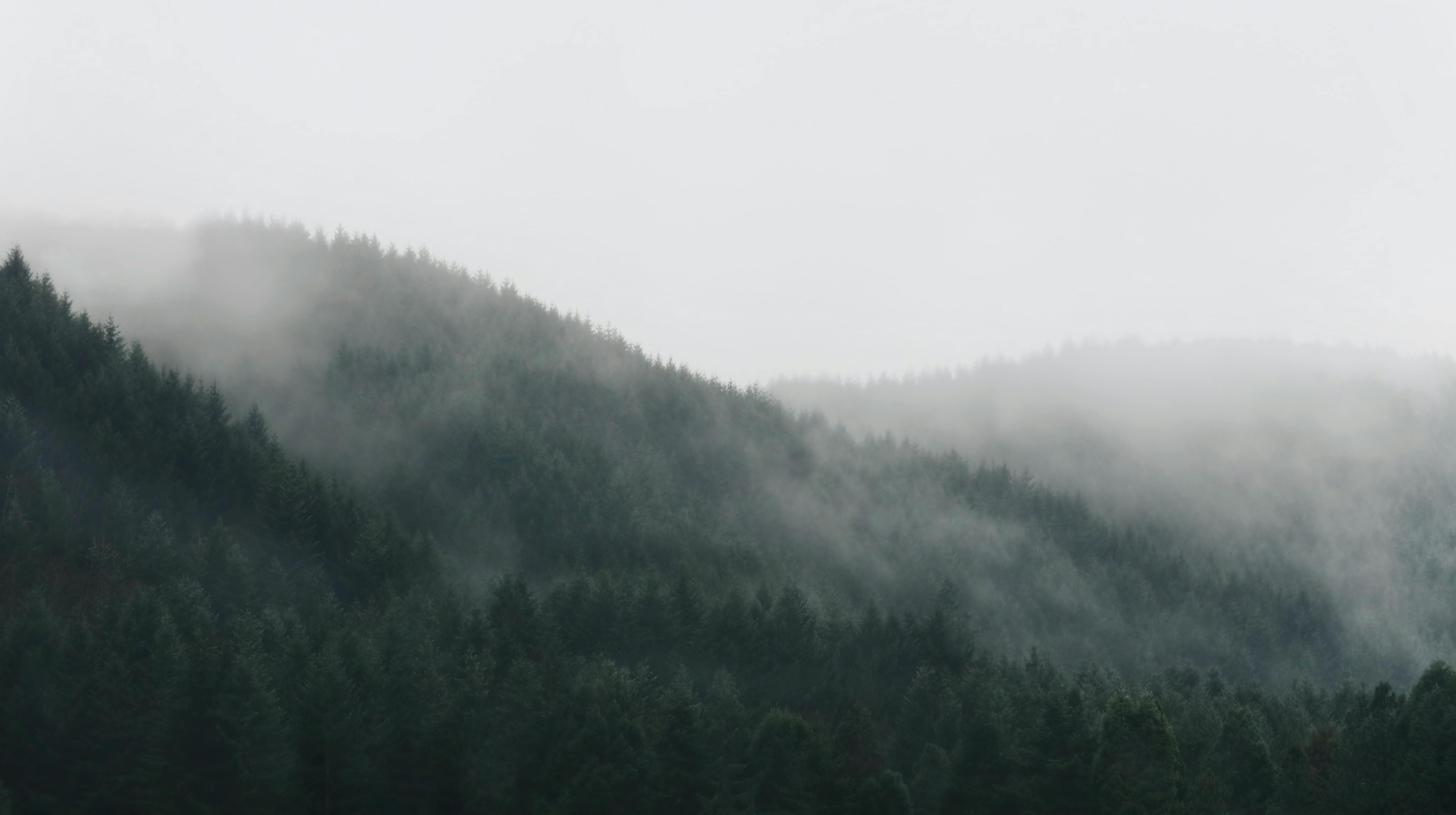 Shipping Your Stuff to Washington State 2026: Cost, Timeline & Tips