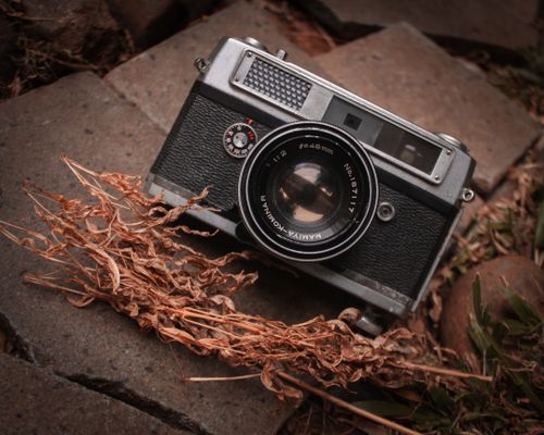 Free A classic vintage film camera laid on a rustic stone surface with dried twigs. Stock Photo