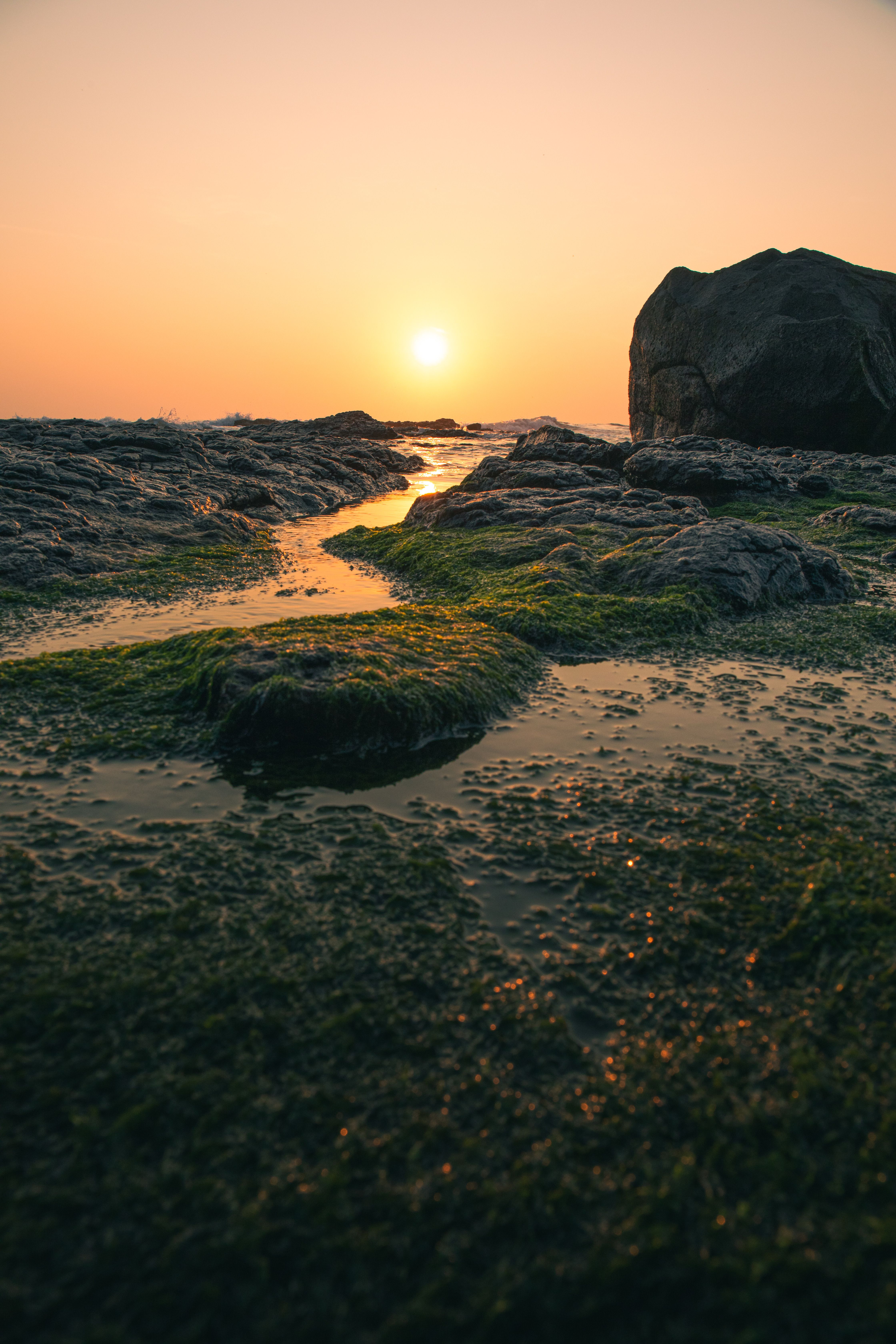 Serene Sunset Over Rocky Shoreline with Moss · Free Stock Photo