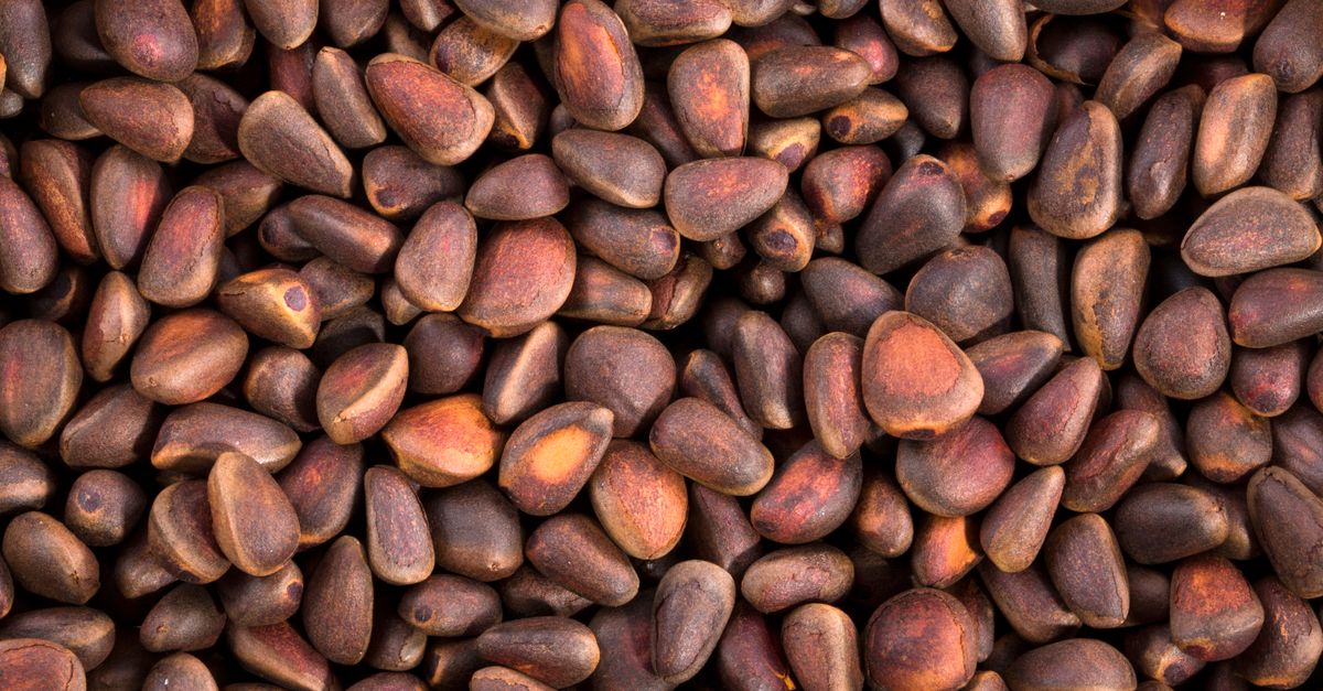 High-resolution image of raw pine nuts, ideal for culinary and health-related projects. - Evidence evidence guide for vitamin b1 fatigue meta-analysis