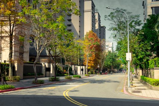 Urban street scene in Taipei, Taiwan, showcasing colorful autumn foliage with modern buildings.