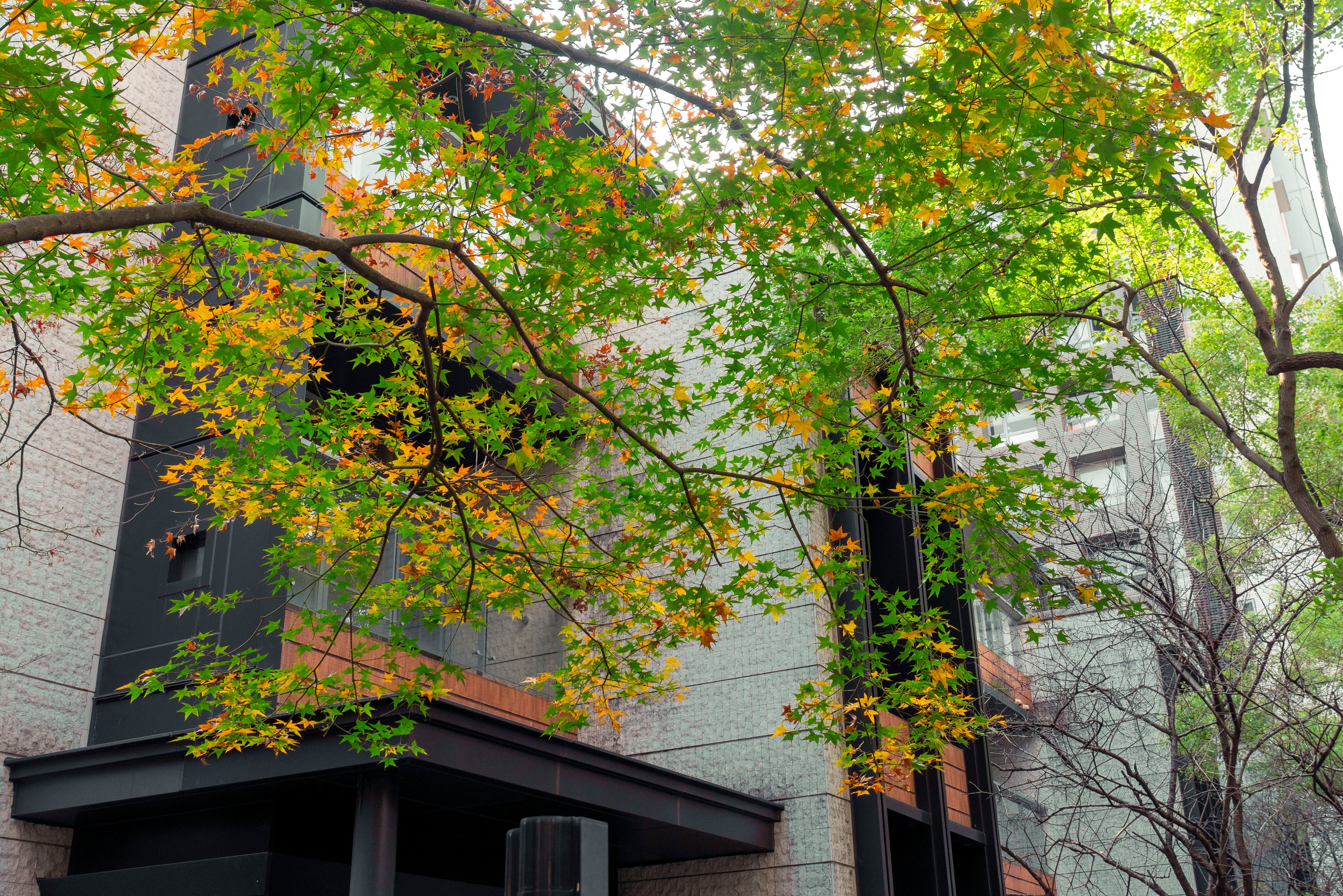 Indoor air quality pollutants and health risk statistics