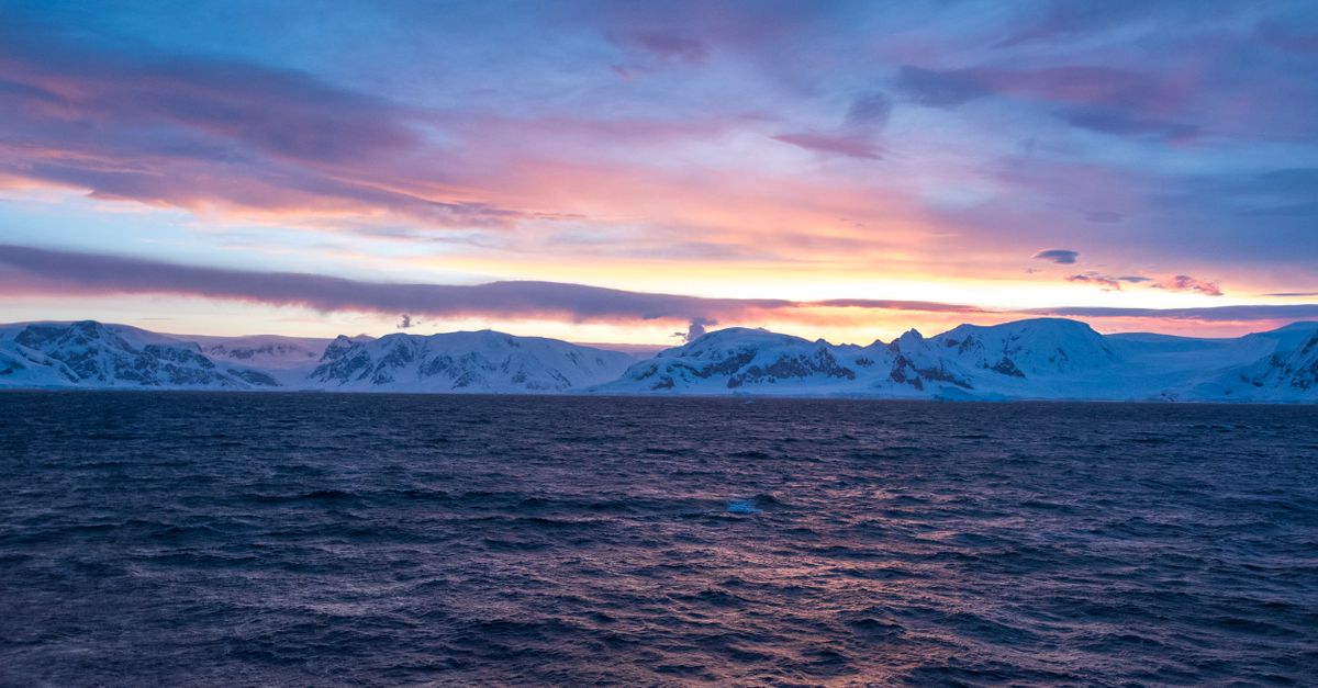 Antarctic microbes swap genes to harvest energy from air, study finds