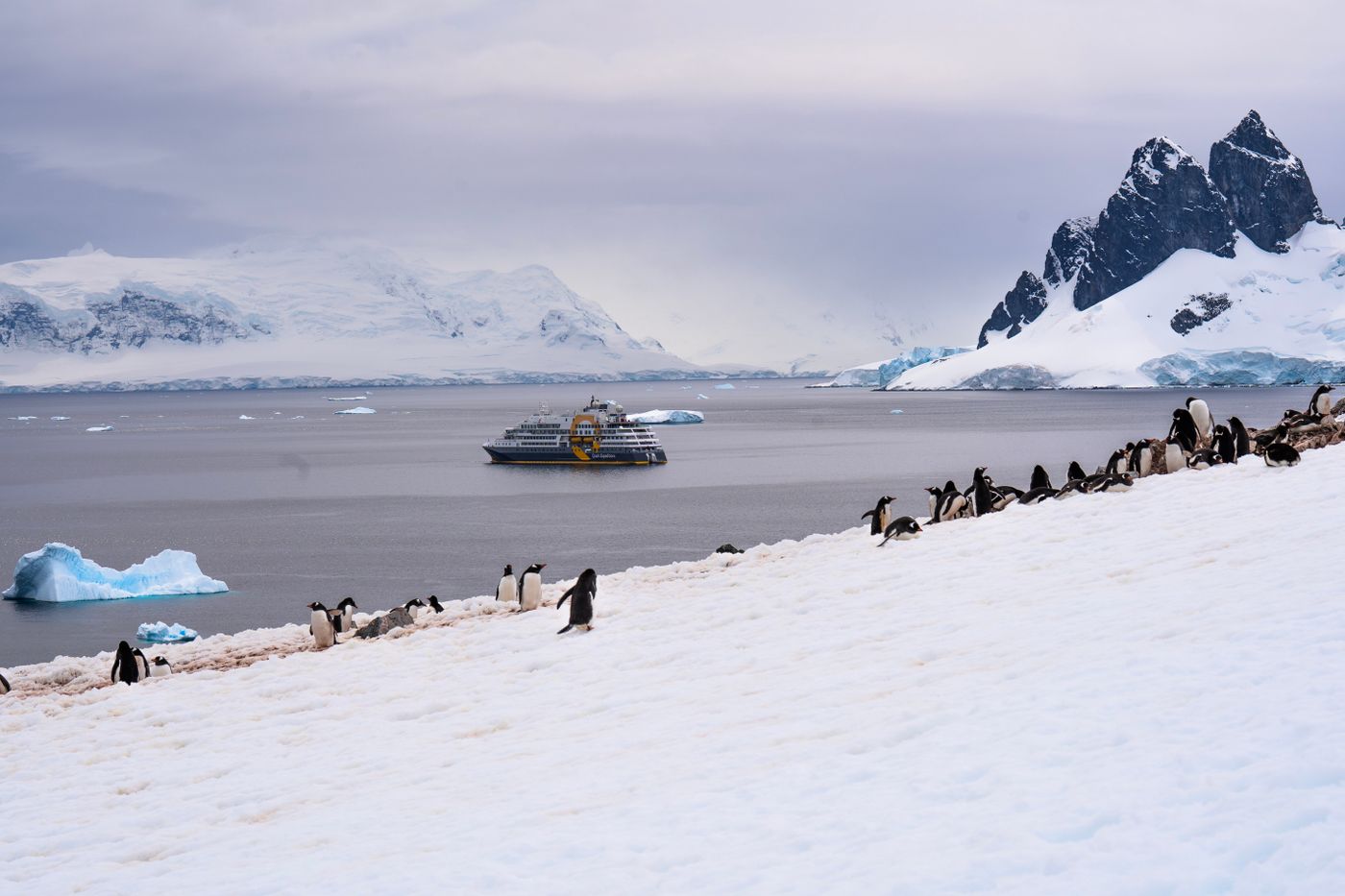 Penguins standing on a snowy Antarctic shoreline with an expedition ship at anchor on the water behind them.