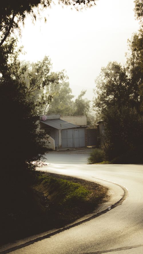 Free A tranquil road winds through a secluded rural landscape, bathed in soft morning light. Stock Photo