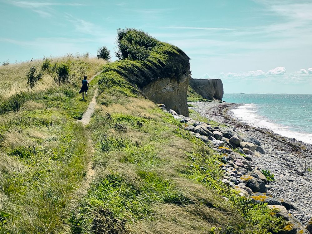 Coastal Pathway in Rødby Sogn, Denmark · Free Stock Photo