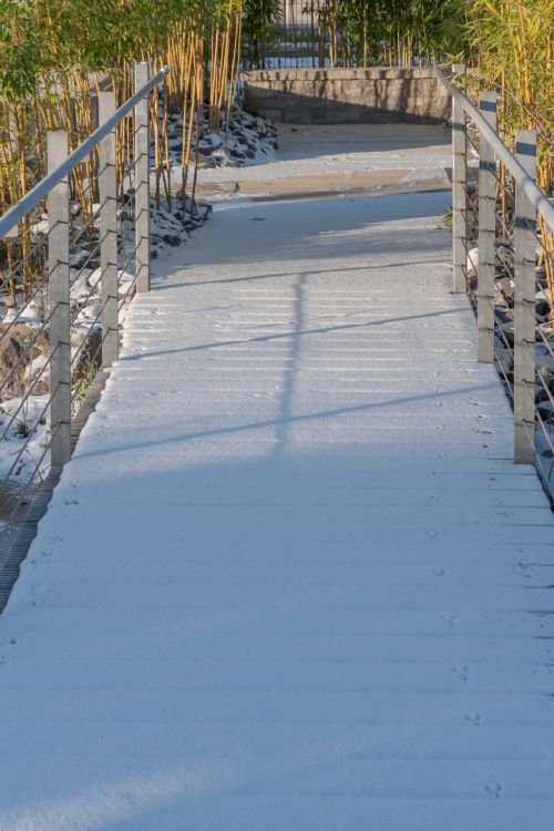 Snow Running Way Idyllic winter walkway covered in snow · Free Stock Photo