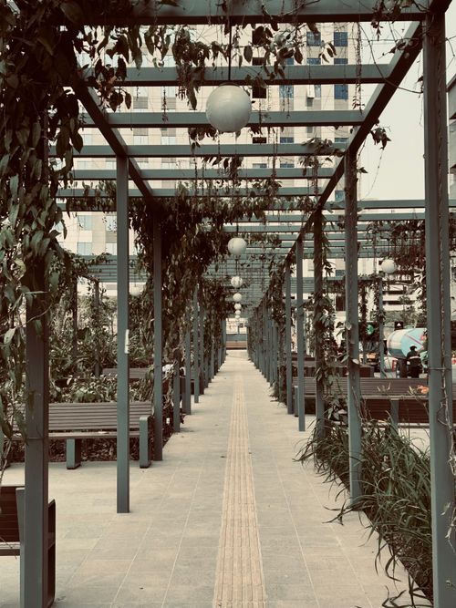 Free Pathway covered with vines and urban architecture, Bangalore's contemporary outdoors. Stock Photo