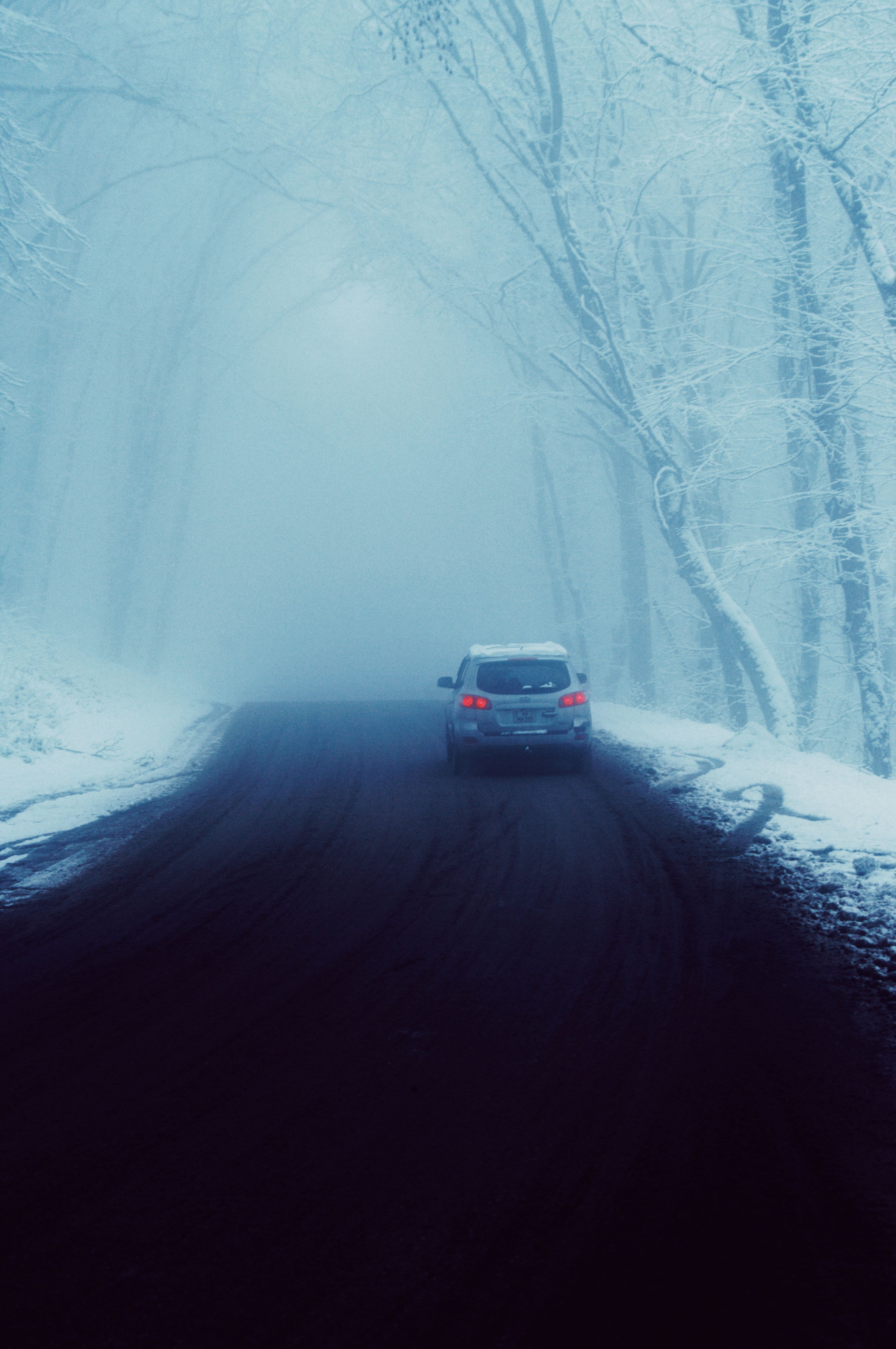 Winter Road Journey Through Snowy Forest · Free Stock Photo