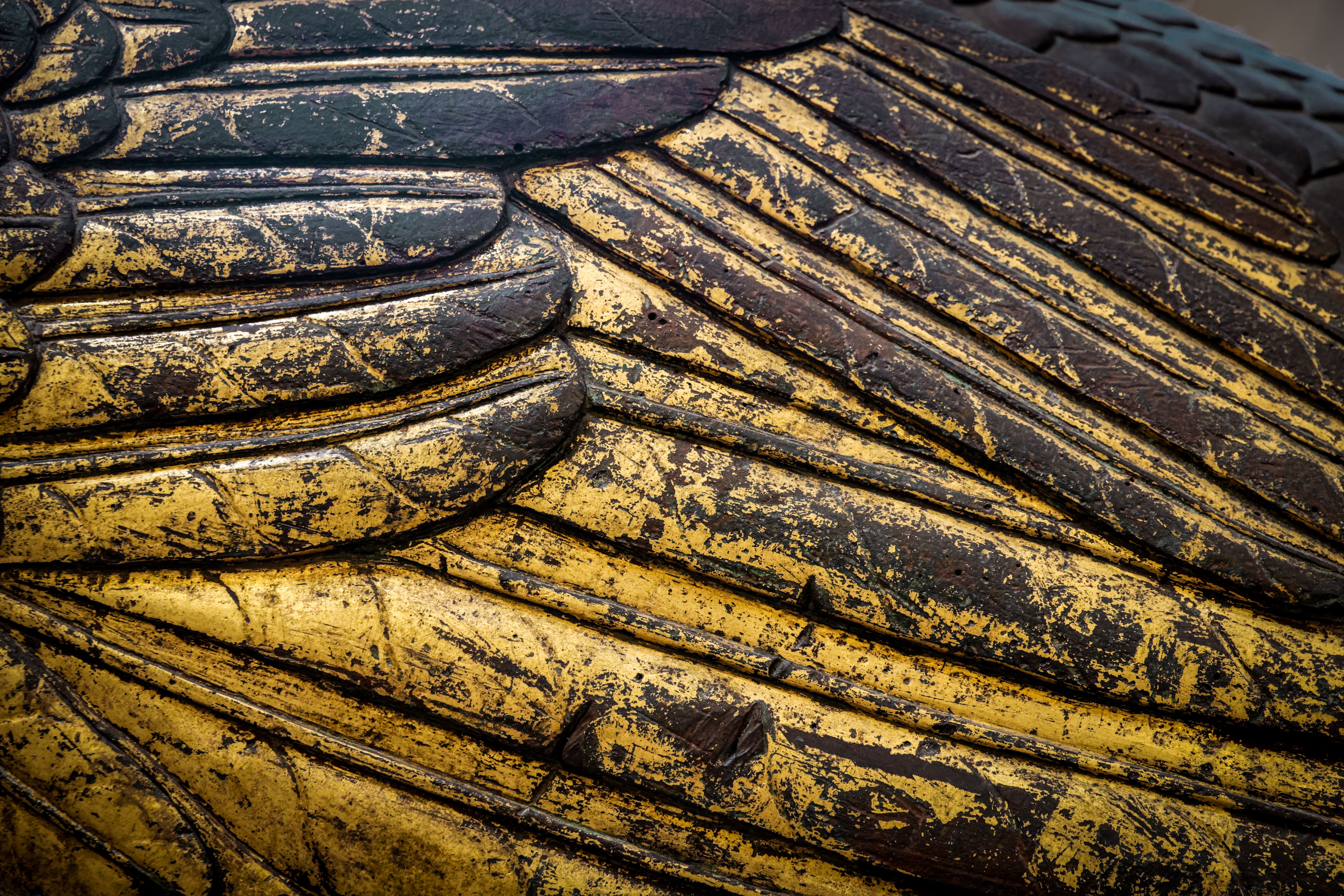 Close-Up of Rustic Golden Feathers Texture · Free Stock Photo