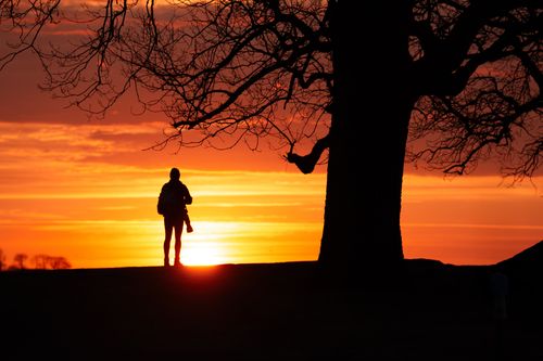 Free A lone photographer silhouetted against a vibrant orange sunrise at Cove Island Park. Stock Photo