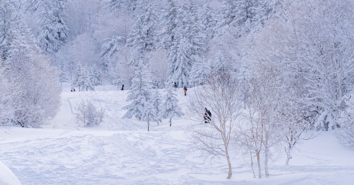 Niseko City – Guide Ski Japon Complet 2026