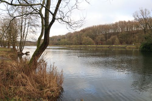 Free Serene river landscape in winter, showcasing bare trees and calm water in England. Stock Photo